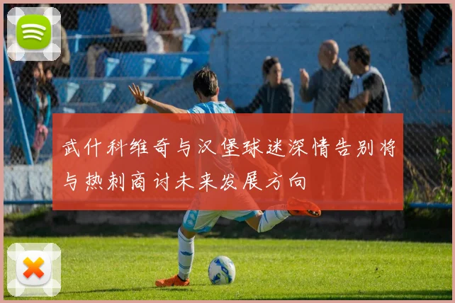 武什科维奇与汉堡球迷深情告别将与热刺商讨未来发展方向